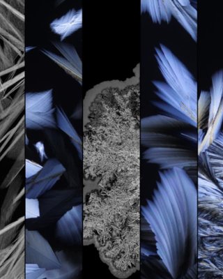 Проект Artist Wallpaper